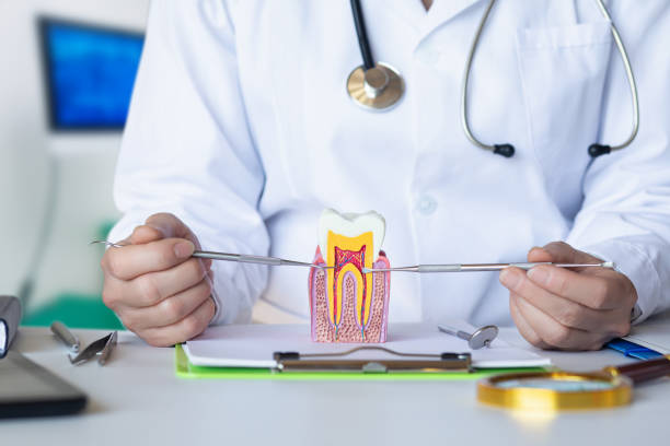 Best Emergency Wisdom Teeth Removal in Davison, MI